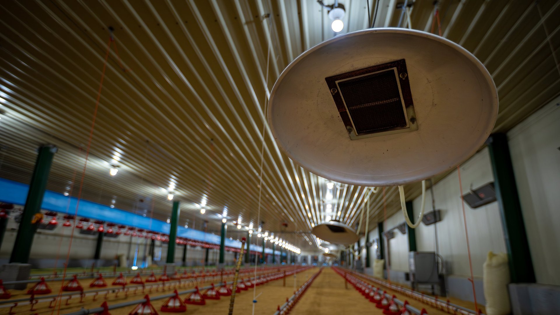 Installation électrique agricole dans un bâtiment de ferme